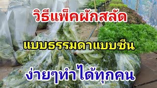 วิธีแพ็คสลัด Hydroponics / #บ้านสวนกิตติธรา