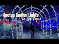 Walk with Me at CACTUS GARDEN Lights of Love || Ethel M Botanical Cactus Garden Las Vegas