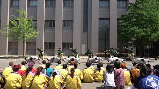 20190525 福井大学 酔踊祭　福井大学 よっしゃこい2016年度演舞