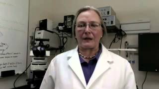 Bioactivity of an Aloe vera based Nerium oleander extract – video abstract 79871