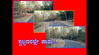 Sudina Surabhi | ಆನೆ ಭಯದಲ್ಲಿ ಬೈಕ್‍ನಿಂದ ಬಿದ್ದ ಸವಾರ | Man Narrowly Escapes From Elephant