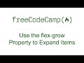 CSS Flexbox - Use the flex-grow Property to Expand Items - Free Code Camp