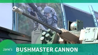 MSPO 2019: Bushmaster arms Polish armed forces