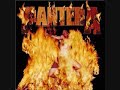 pantera revolution is my name reinventing the steel