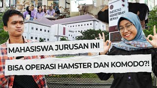 Mahasiswa Jurusan Ini Bisa Operasi Hamster dan Komodo?!