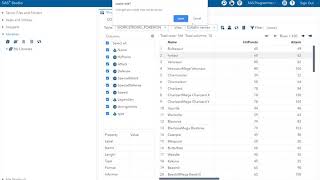 SAS Bootcamp 2.2 - Conditional logic Part 1