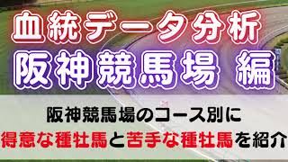 血統データ分析・阪神競馬場 編　ー距離別・コース別の得意種牡馬・苦手種牡馬ー