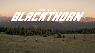 Introducing Blackthorn