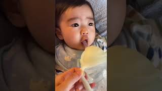 初めてのストローマグ、吸うって難しいねfirst straw#shorts #赤ちゃん #baby