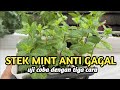 STEK MINT DENGAN TIGA CARA