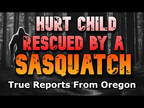 HURT CHILD RESCUED BY A SASQUATCH – True Reports From Oregon