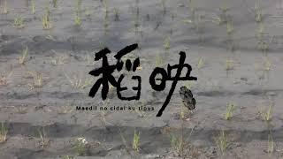 《稻映maedil no cidal ku tipus》稻米文化紀錄片