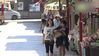 川崎大師仲見世通り - 地域情報動画サイト　街ログ