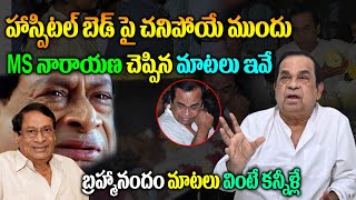 చనిపోయే ముందు  ms నారాయణ చెప్పిన మాటలు ఇవే | Brahmanandam Emotional About MS Narayana Last Days