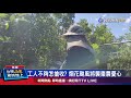 防颱搶收自己來 棗農嘆 請不到工人幫忙