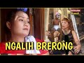 NGALIH BRERONG - tut bradut