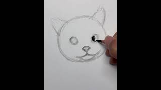 How to draw cat 🐱| Satisfying Créative Art #Shorts #art #draw #drawing #painting