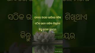 ପାଦରେ ଆଘାତ ଲାଗିଲେ ମଣିଷ | Odia Nitibani | Odia Sadhubani | Odia Motivation Video #SHORTS