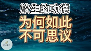 放生的功德为何如此不可思议！ |   ​2022 | 思维空间 0505