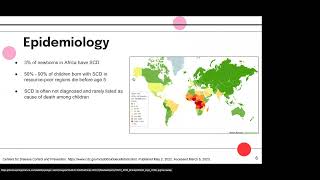 NYSCHP DEI Webinar Series: Part 2