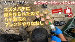 [山の中の一軒家]スズメバチに巣を作られたのでハチ激取れブレンドやりなおし‼︎ 令和4年7月17日(日)