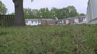 Victims, suspect identified in double homicide in Portsmouth