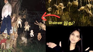 உலகில் 7 அதி பயங்கரமான மற்றும்  மர்மமான  இடங்கள்||#mysterydiv