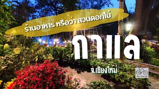 ที่กินเชียงใหม่ 📌ร้านอาหาร กาแล ตำบลสุเทพ อำเภอเมือง จังหวัดเชียงใหม่ ( ทริปเชียงใหม่ )