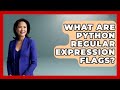 What Are Python Regular Expression Flags? - Python Code School