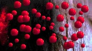 BLEEDING WALL