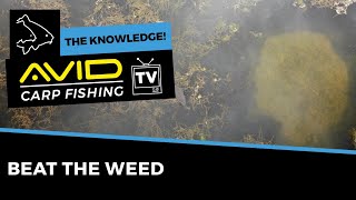HOW TO FISH IN WEED | Carp Fishing (The Knowledge)