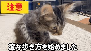 注意 急にお尻歩きを始めました