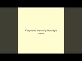 Fragments Harmony Moonlight