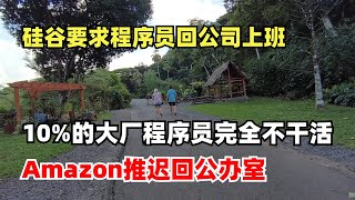 硅谷要求程序员回公司上班，远程工作如何建立信任，10%的大厂程序员完全不干活，Amazon推迟员工回公办室