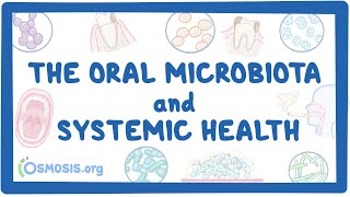 The Oral Microbiota and Systemic Health