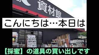 【ときどき金魚】　#日本蜜蜂　　　No. 11🐝だんだんと【蜜蜂】が家族のように思えて来て…心配も増えました… 　#ミツバチ　#金魚　#ハンドメイド　#蜜蝋　#蜜ロウ