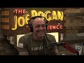 Joe Rogan Experience #1796 - Ali Siddiq