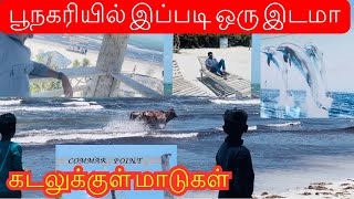 பூநகரியில் இப்படி ஒரு இடமா💖 | Commar Point Leisure Beach | கடலுக்குள் மாடுகள்