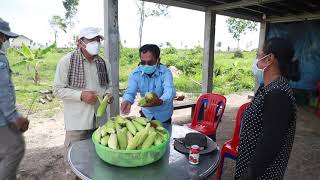 Pursat 05 08 2021 អភិបាលខេត្តពោធិ៍សាត់ ចុះពិនិត្យដំណើរការសាងសង់ផ្ទះ នៅទីតាំងដីសង្គមកិច្ចដំណាក់ត្រយឹង