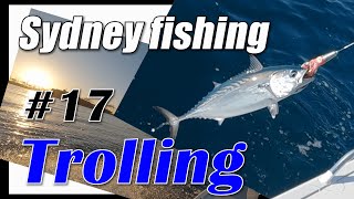 Trolling challenge in Sydney – chase a Marlin!! 【カジキマグロを狙え！シドニーでトローリング】