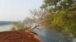 Backwaters of Goa