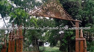 മികവിന്‍റെ നിറവില്‍ , പാപ്പിനിശ്ശേരി ഗ്രാമ പഞ്ചായത്ത് | കണ്ണൂര്‍ ജില്ല