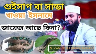 দপ | গুইসাপ | সন্ডা খাওয়া হালাল নাকি হারাম | Food Halal or haram | Mizanur Rahman Azhari| Da'Wah