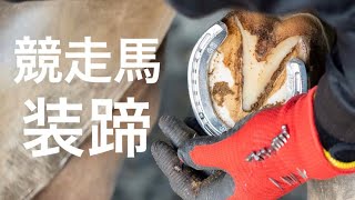 【4K】競走馬の装蹄作業#8 Japanese farrier /  Horse shoeing