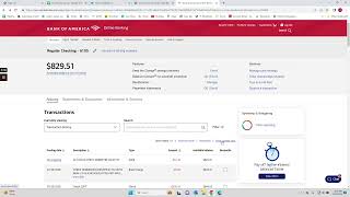 How to Print a Transaction History from Your Bank Account with URL 👨 💼 1
