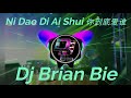 Ni Dao Di Ai Shui 你到底爱谁 Remix By Dj Brian Bie