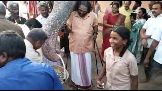 srirangam andal elephant celebrating her 45th Birthday 🐘