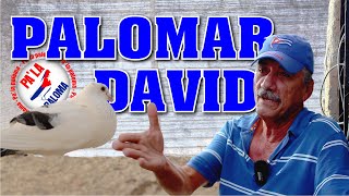 PALOMAR de CONQUISTA de DAVID en Luyanó. 1ra Parte