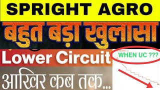 spright agro share latest news | spright agro | spright agro share |spright agro stock|spright share