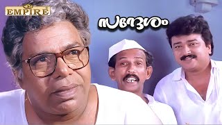 അച്ഛാ.. അണികളുടെ മുമ്പിൽ എന്നെ നാറ്റിക്കരുത്  | Sandesham Movie Scene | Jayaram | Mamukkoya Comedy